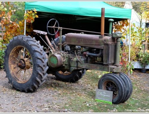 De 11e Landgoed Twente Fair